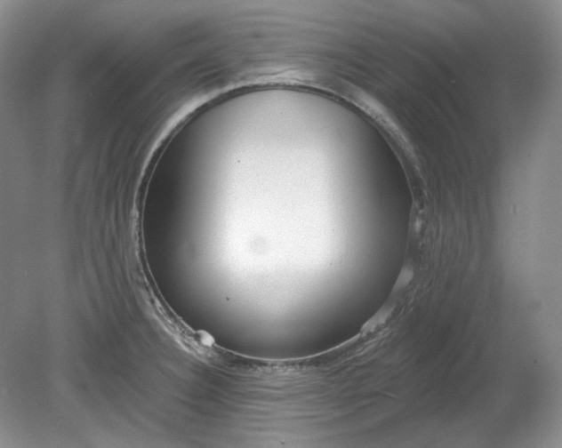 X0000078871332200611271251