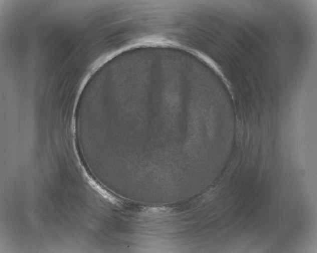 X0000078871335200611271251