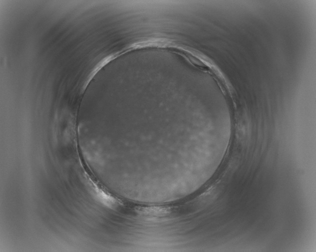X0000078871337200611271251