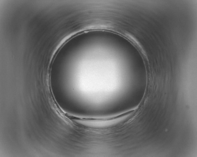 X0000078871340200611271251