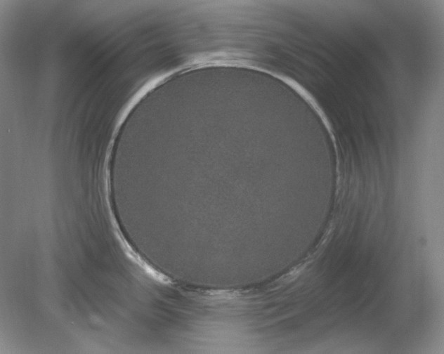 X0000078871341200611271251