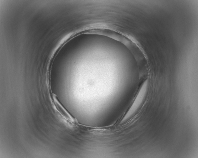 X0000078871342200611271251