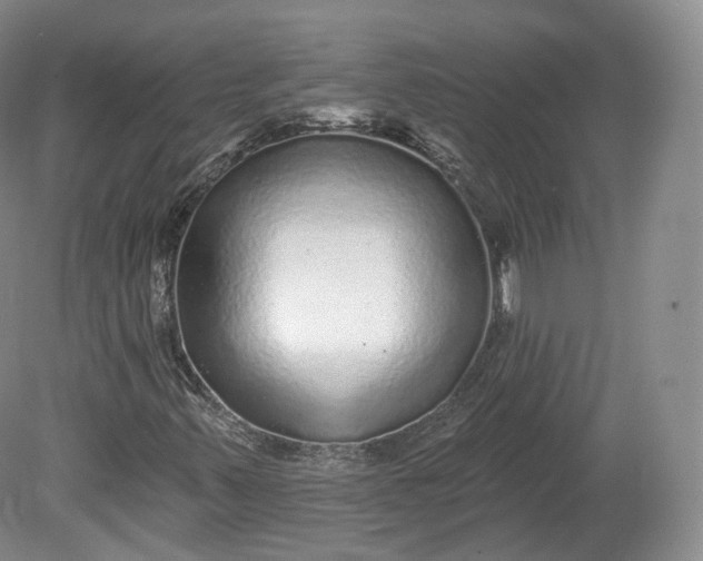 X0000078871347200611271250