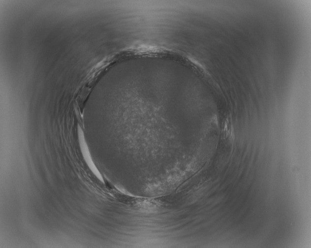 X0000078871348200611271250