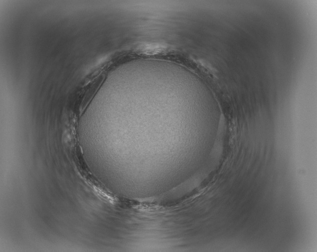 X0000078871349200611271250