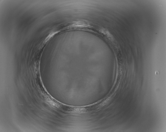 X0000078871353200611271250