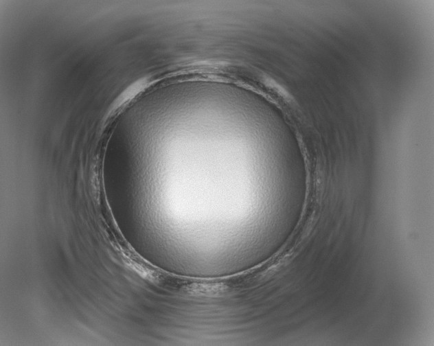 X0000078871354200611271250