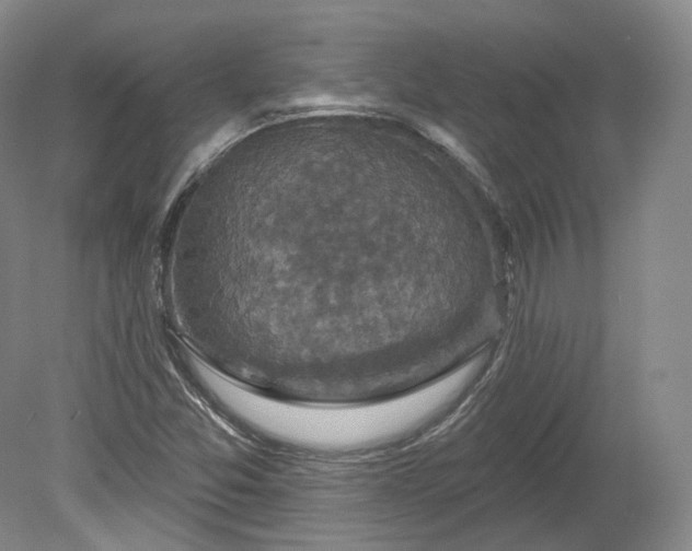 X0000078871357200611271250