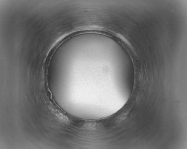 X0000078871364200611271250