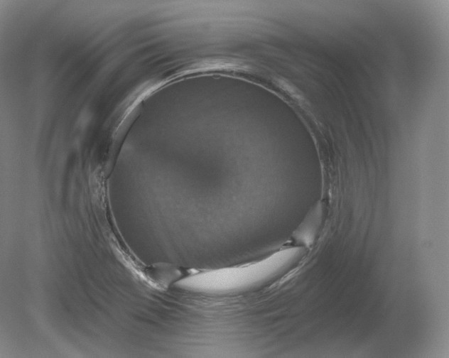X0000078871369200611271250