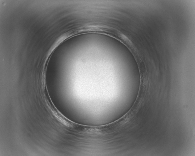 X0000078871370200611271250