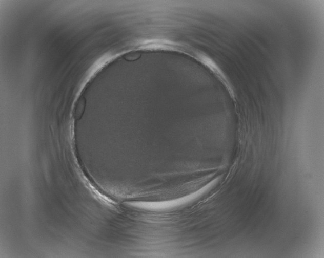 X0000078871376200611271250