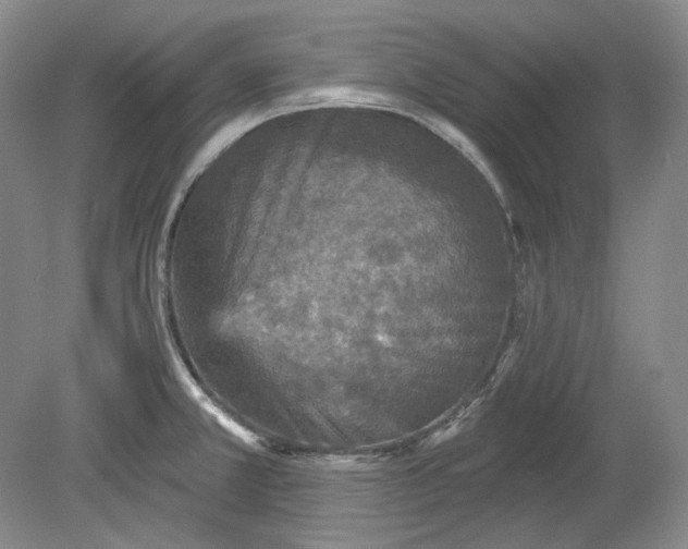 X0000078871381200611271250