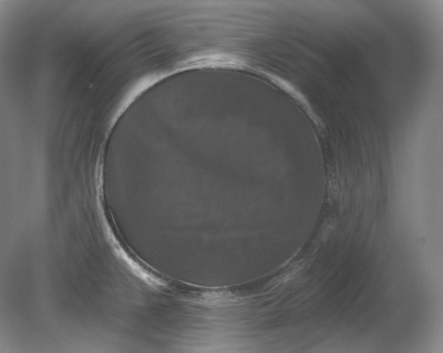 X0000078871383200611271250