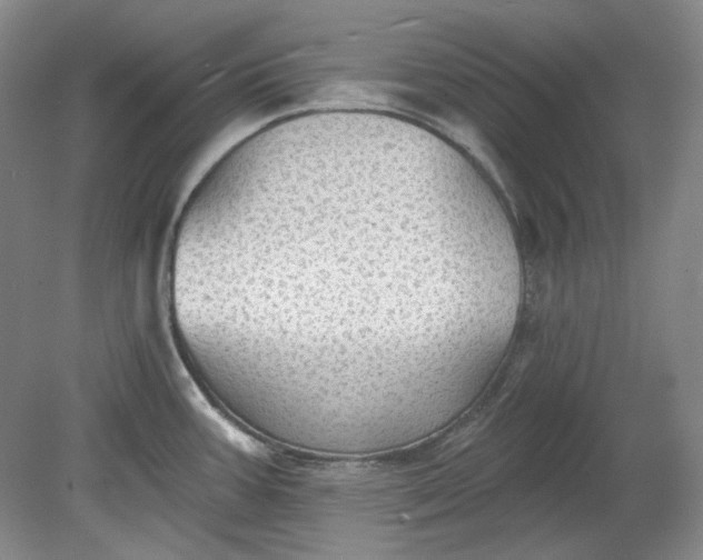 X0000078871387200611271249