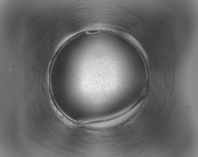 X0000078871388200611271249