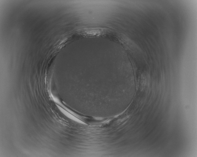 X0000078871394200611271249