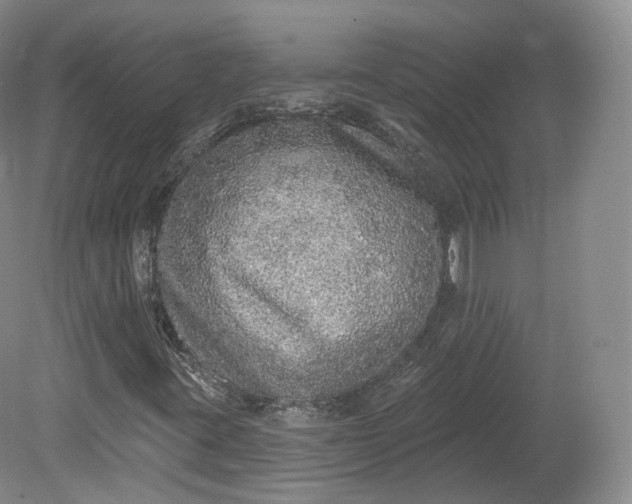 X0000078871395200611271249