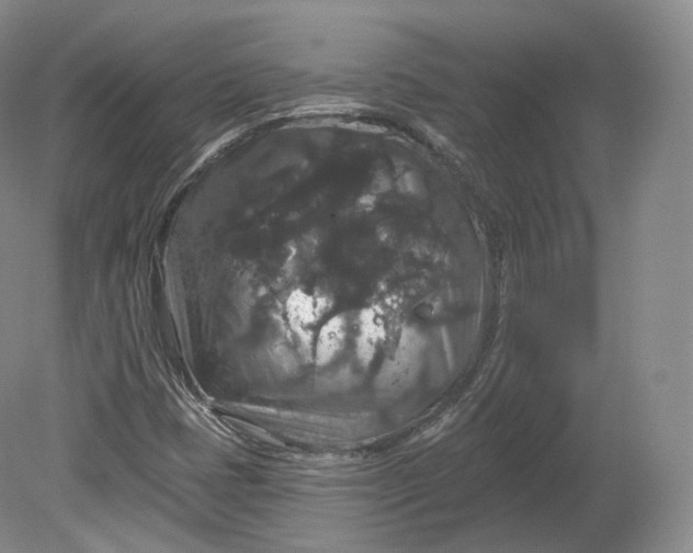 X0000078871401200611271249