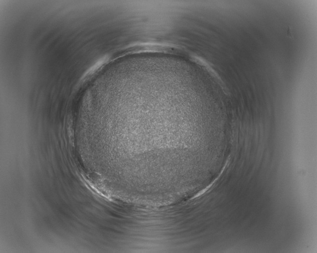 X0000078871403200611271249