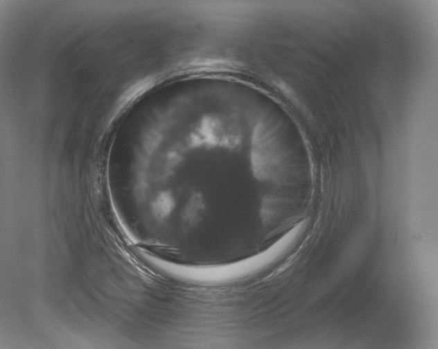 X0000078871405200611271249