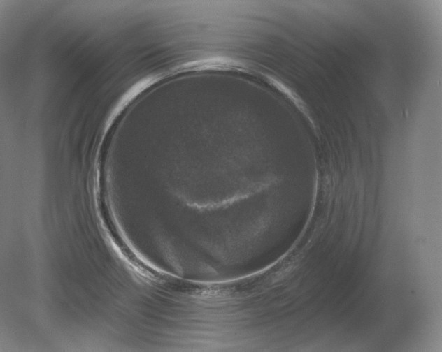 X0000078871418200611271249