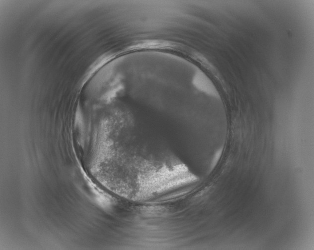 X0000078871425200611271249