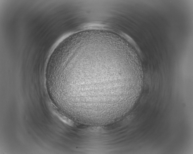 X0000078871435200611271249