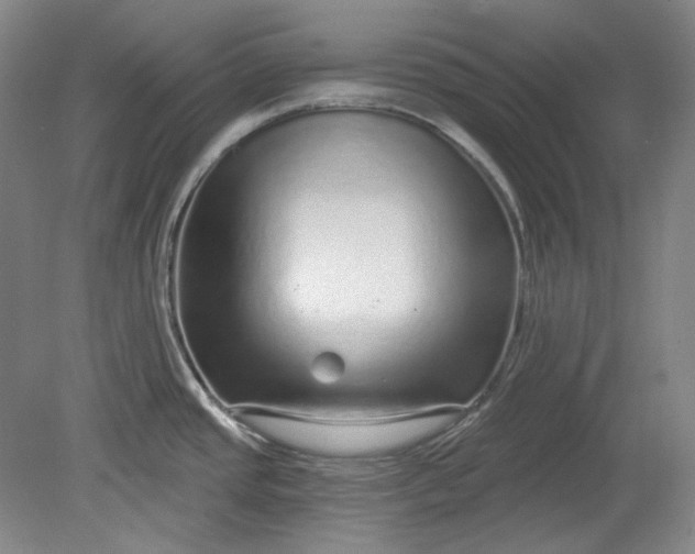 X0000078871437200611271249