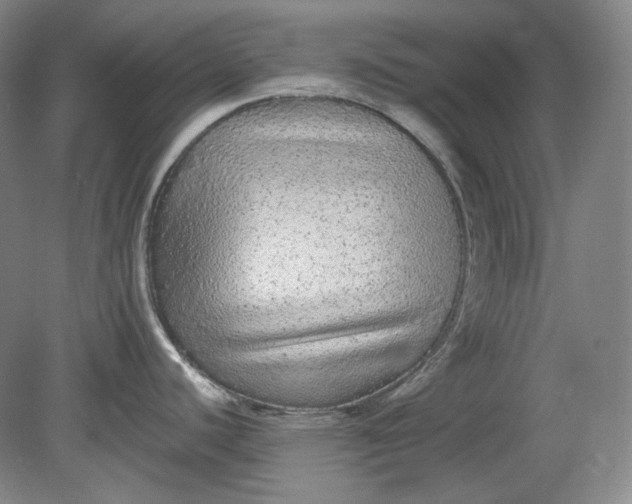 X0000078871440200611271249