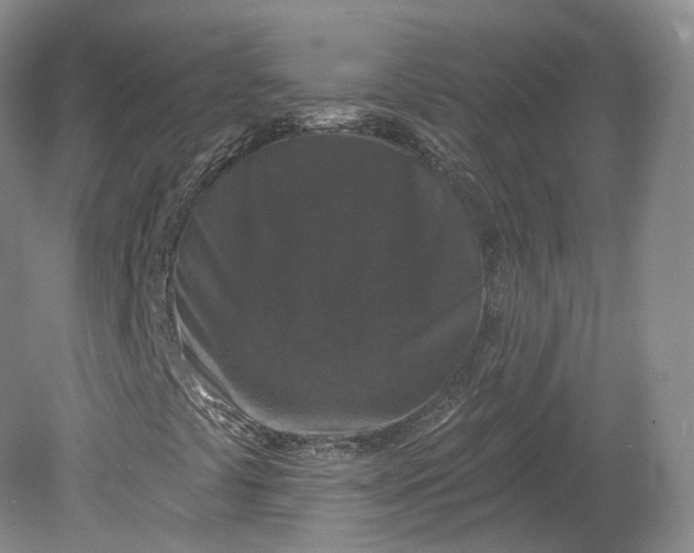 X0000078871441200611271249