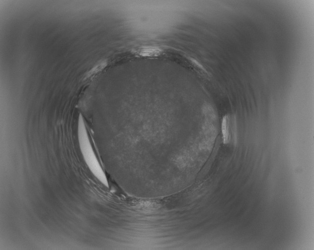 X0000078871443200611271248