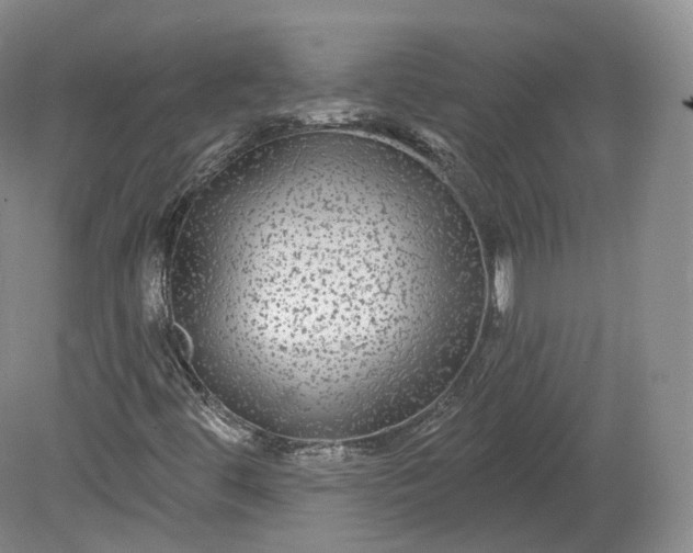 X0000078871444200611271248