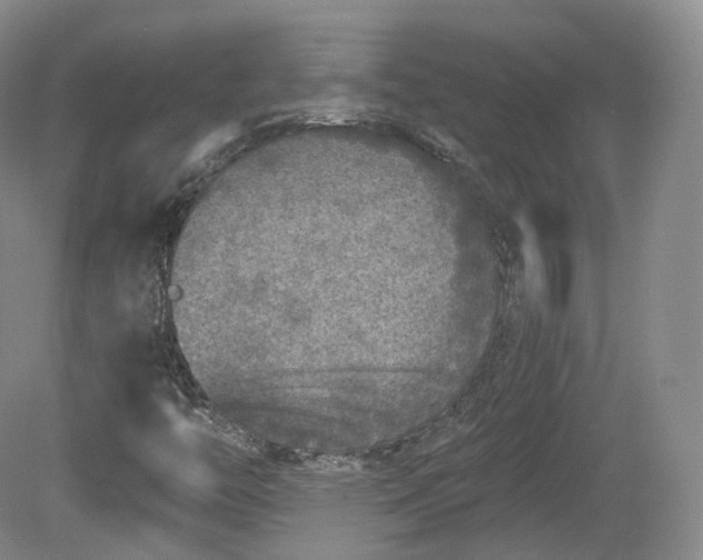 X0000078871446200611271248