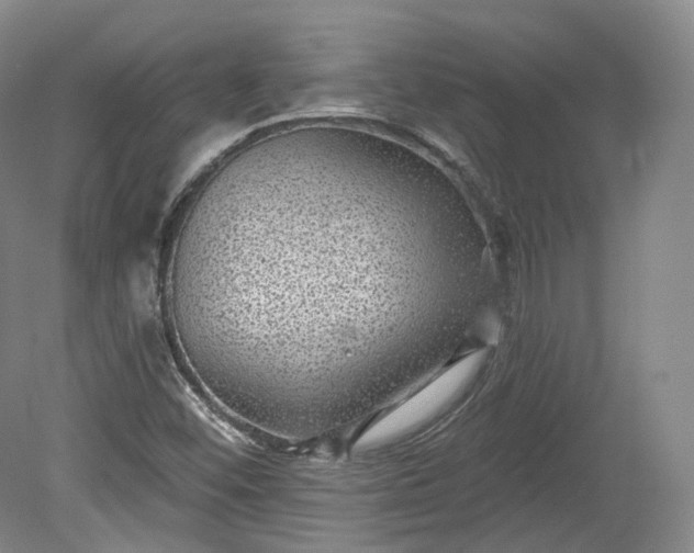 X0000078871452200611271248