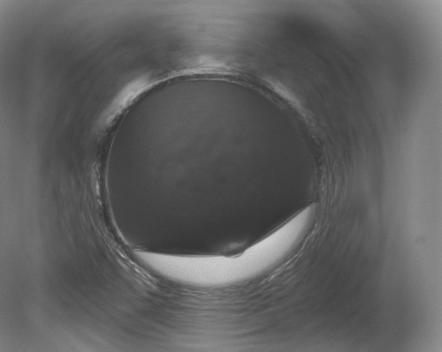 X0000078871455200611271248