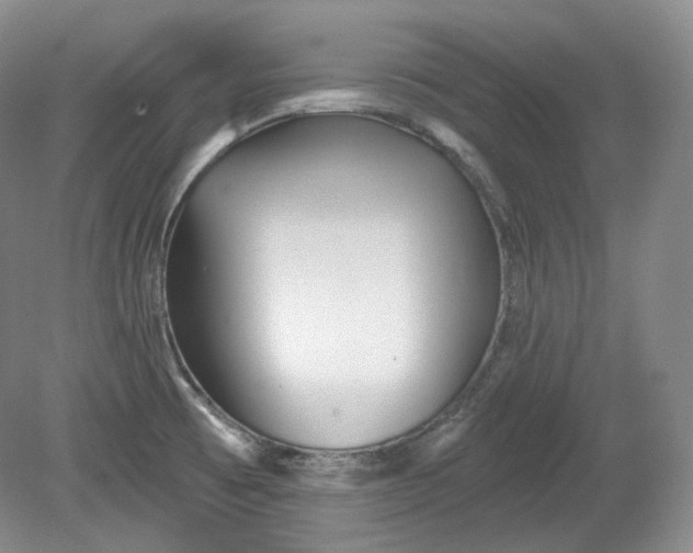 X0000078871473200611271248
