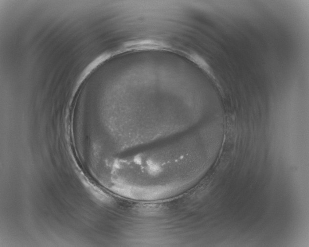 X0000078871474200611271248