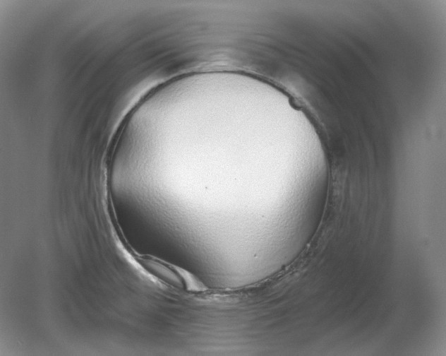 X0000078871476200611271248