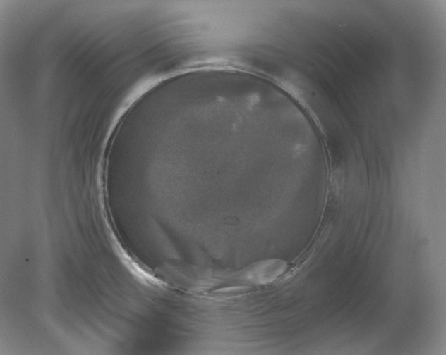 X0000078871482200611271248