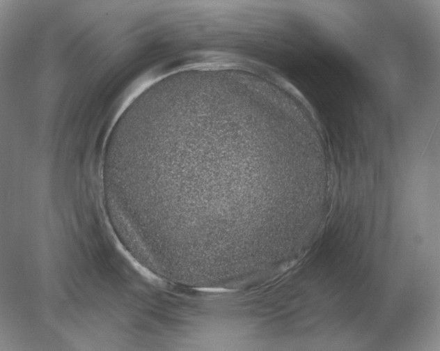 X0000078871487200611271248