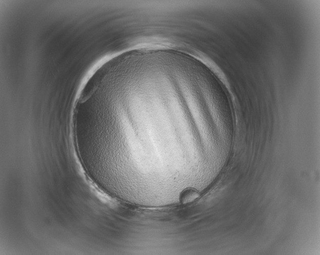 X0000078871488200611271248