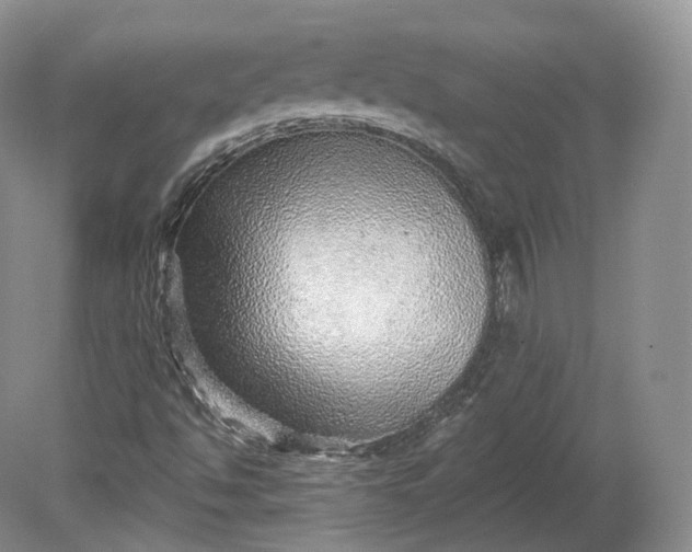 X0000078871494200611271247