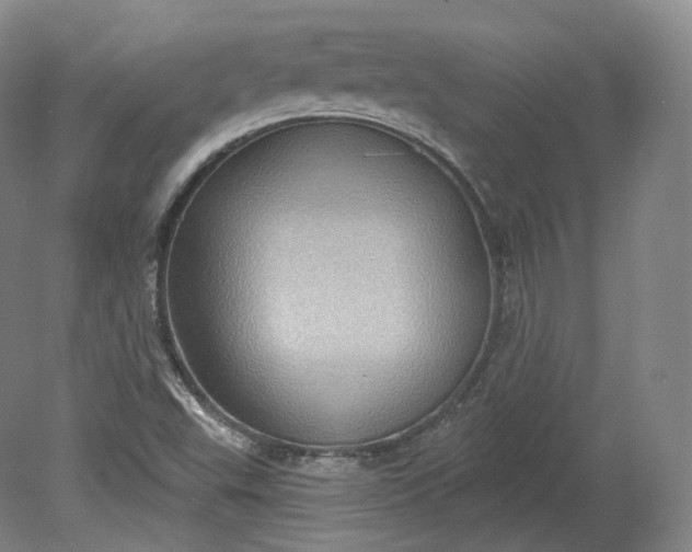 X0000078871503200611271247