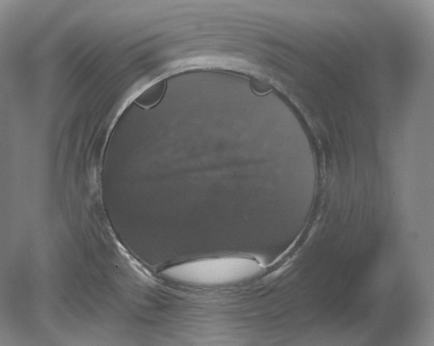 X0000078871529200611271248