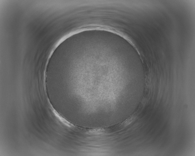 X0000078871535200611271248