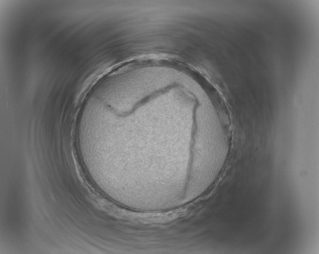 X0000078870001200612042010