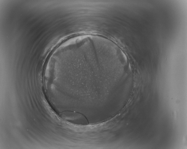 X0000078870002200612042010