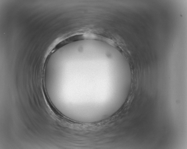 X0000078870003200612042010