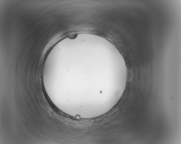 X0000078870004200612042010